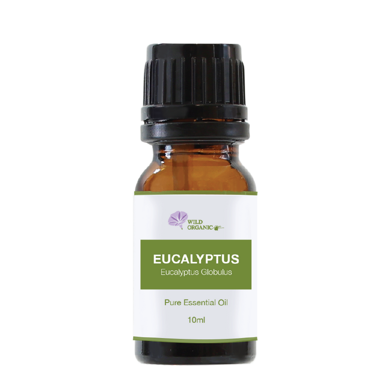 Organic Eucalyptus Globulus Essential Oil